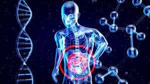 When to See a Doctor About Colon Health Concerns