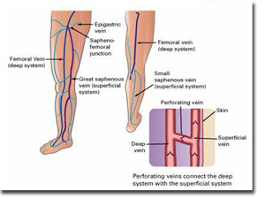 2 Benefits of Seeing a Vein Specialist